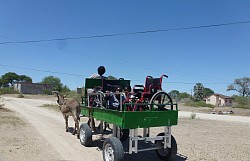 Donkey Cart in Rakops, Botswana, 2011. A result of Henriette Grovas People Meet People-projekt.